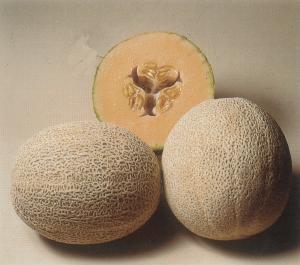 Melons, Hales Best Packet
