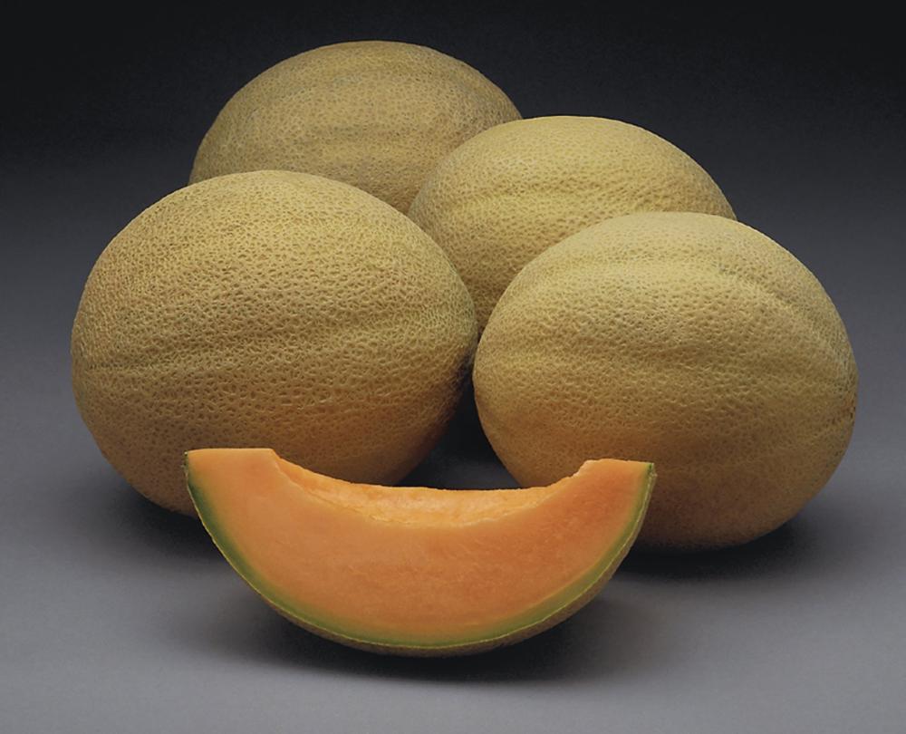 Melons, Athena Hybrid Packet