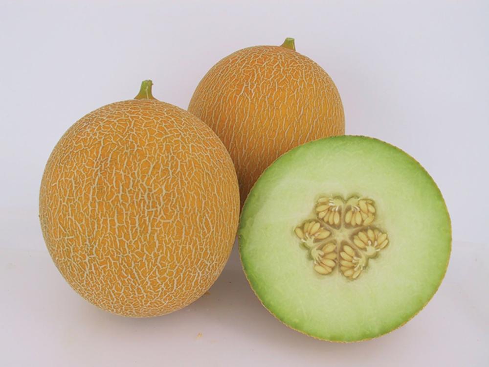 Melons, Arava Hybrid Organic Packet