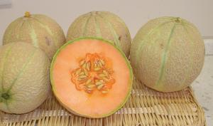 Cantaloupe, Melons, Sivan Hybrid Organic Packet