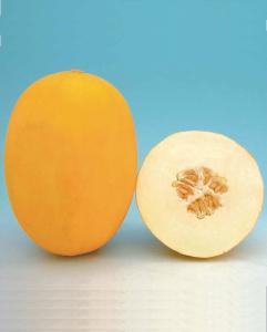 Melons, Brilliant Hybrid Packet