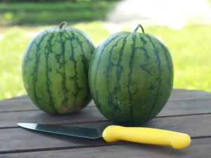 Watermelon, New Queen Hybrid Packet