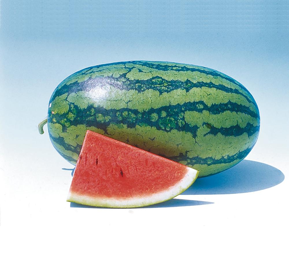 Watermelon, Sweet Beauty Hybrid Packet