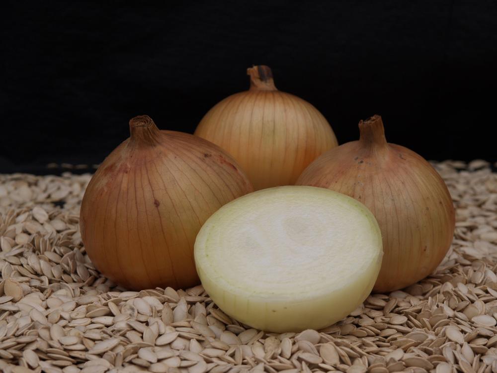 Onions, Expression Hybrid Packet