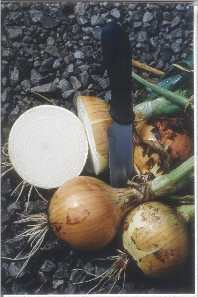 Onions, Sweet Spanish Utah Packet