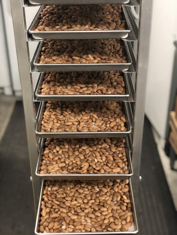 Freeze Dried Fully Cooked Pinto Beans