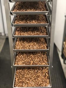 Freeze Dried Fully Cooked Pinto Beans