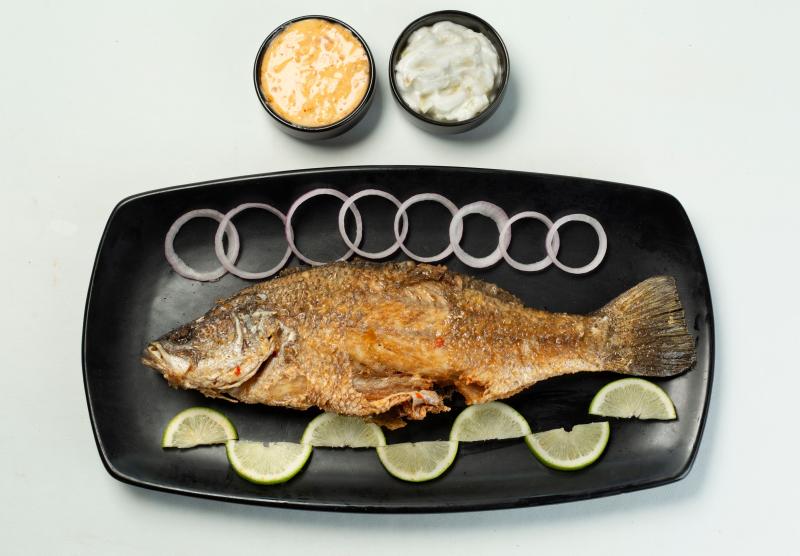 Tilapia & Catfish