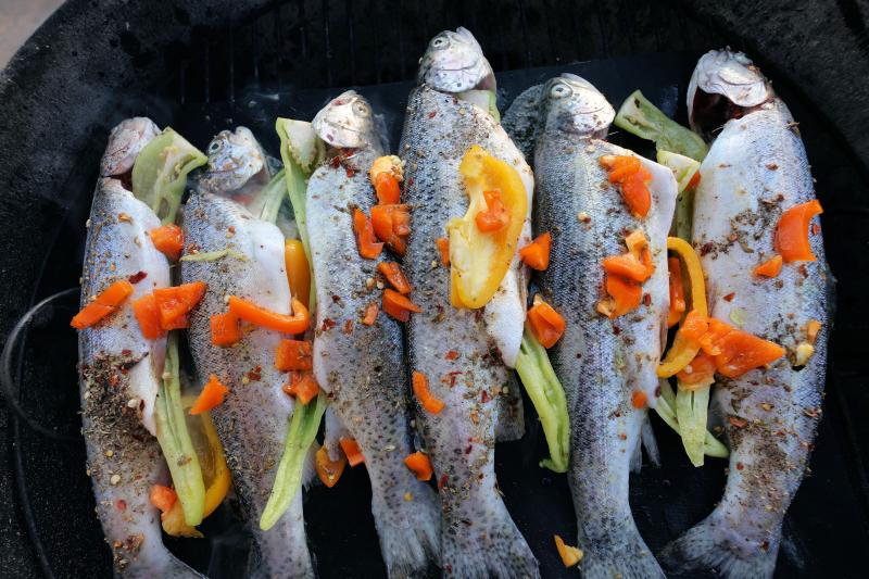 Migratory Fish