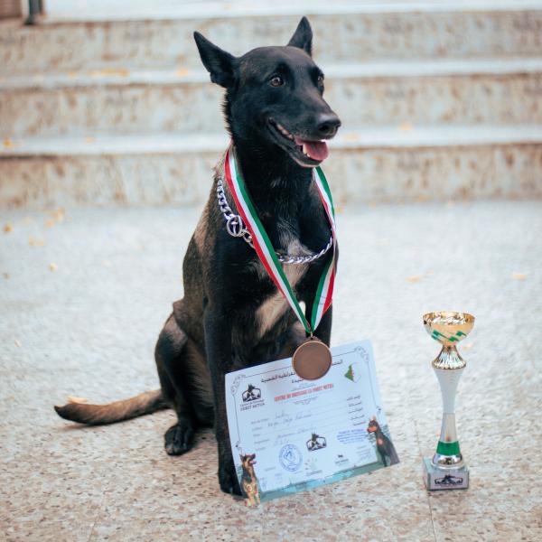 Obedience Competitors