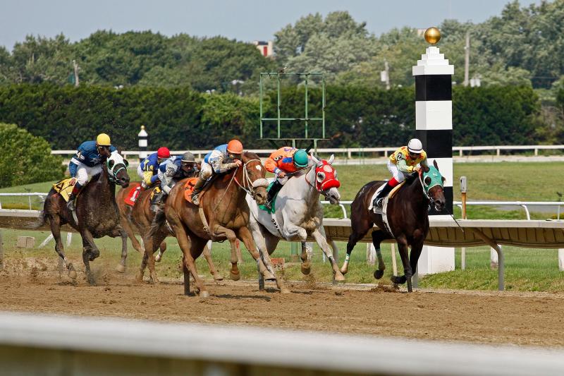 Racing Animals