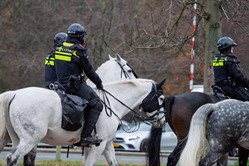 Police & Military Animals