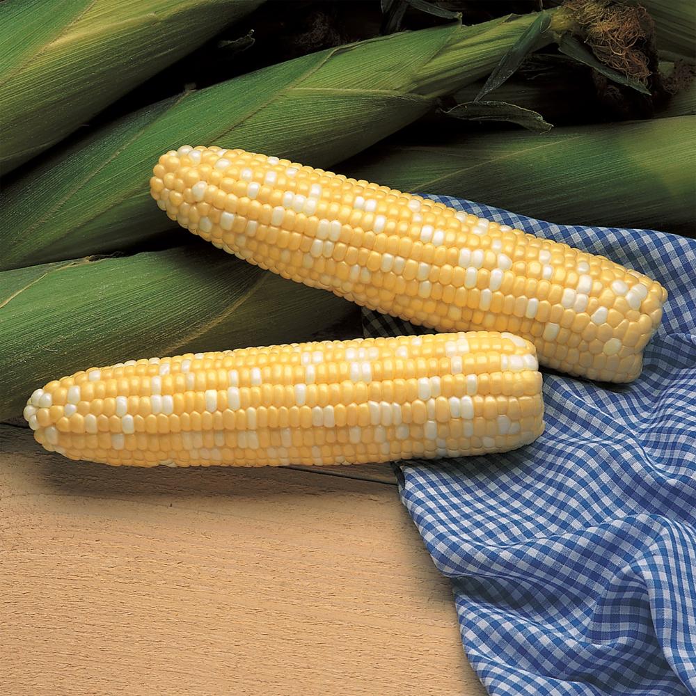 Corn, Serendipity Hybrid Packet