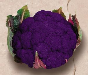 Cauliflower, Graffiti Hybrid Packet