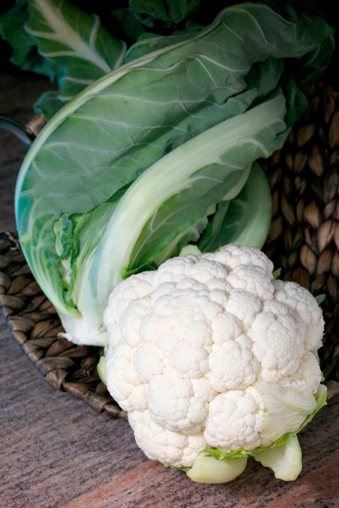Cauliflower, Twister Hybrid Packet