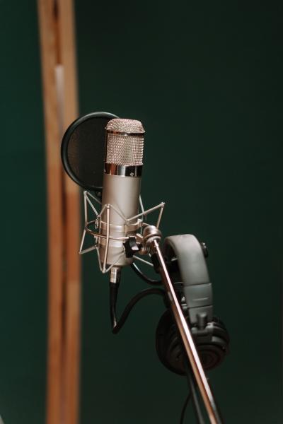 Headphones, Microphones & Earbuds