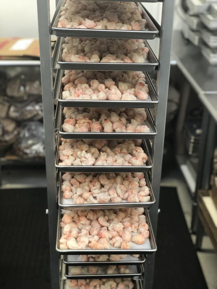 Freeze Dried Langoustines