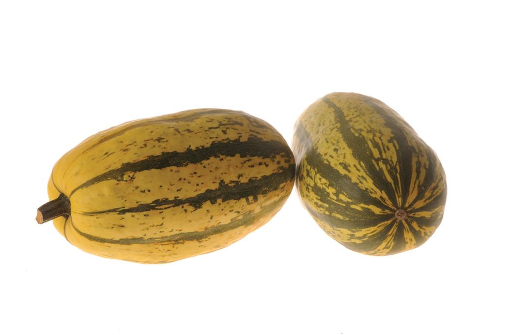 Winter Squash, Stripetti Hybrid Packet