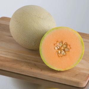 Cantaloupe, Melons, Sarahs Choice Hybrid Packet