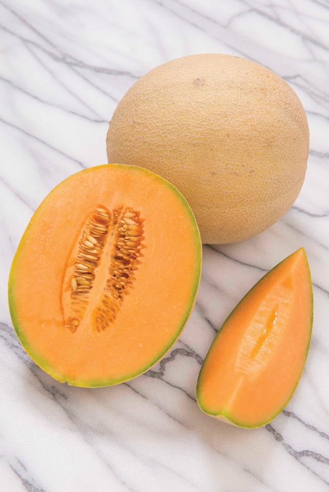 Cantaloupe, Melons, Sarahs Choice Hybrid Packet
