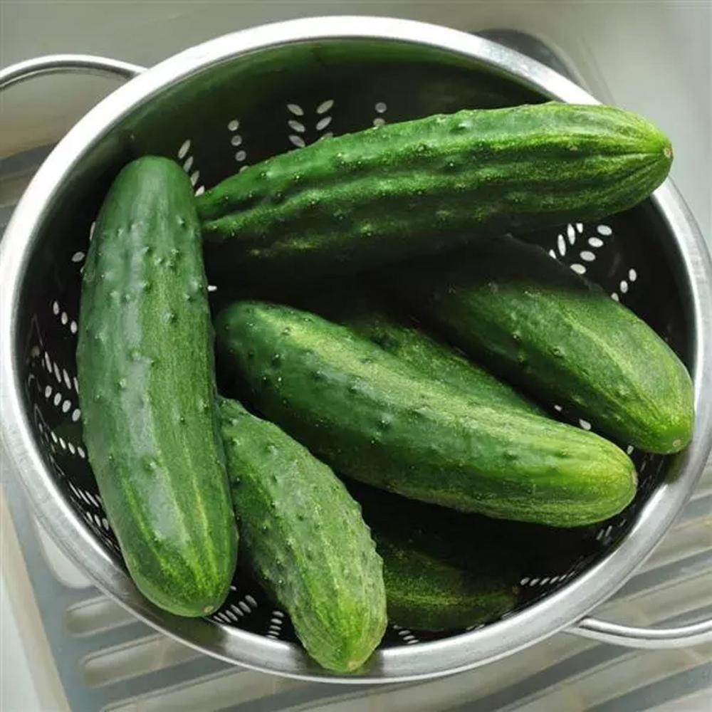 Cucumber, Patio Snacker Hybrid Packet