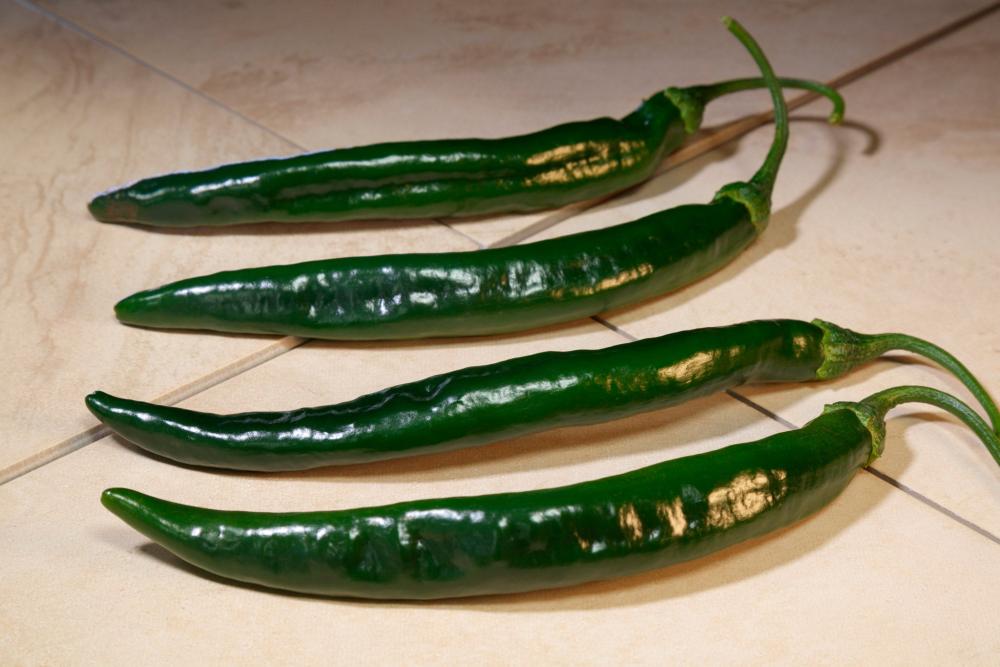 Peppers, Campesino Hybrid Packet
