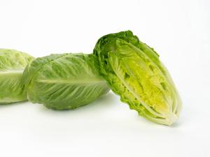 Lettuce, Hamberg Organic Packet
