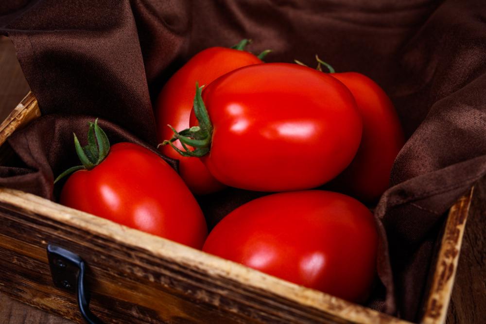 Tomatoes, Kuzco F-1 Packet