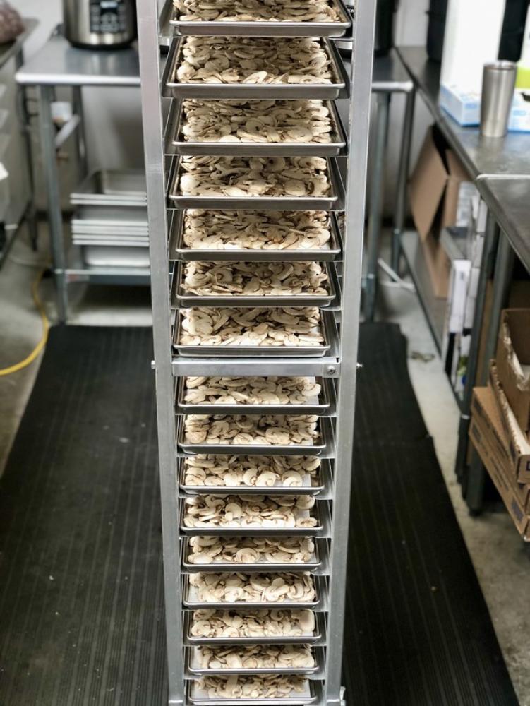Freeze Dried Sliced White Mushrooms