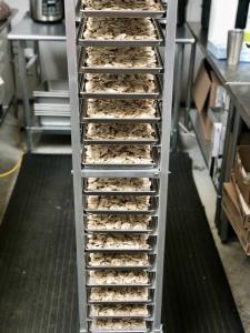 Freeze Dried Sliced White Mushrooms