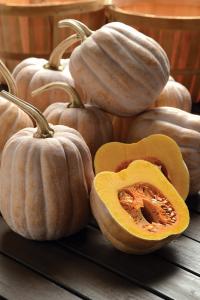 Winter Squash, Autumn Frost F-1 Packet