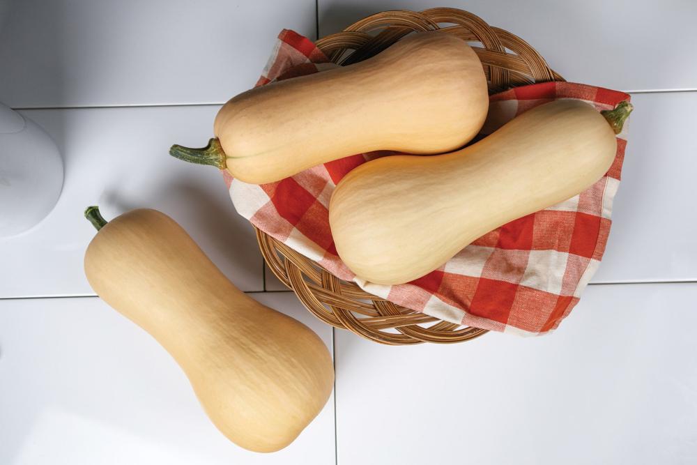 Winter Squash, Ceres Hybrid Packet
