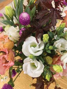 Lisianthus, Solo Pure White Packet