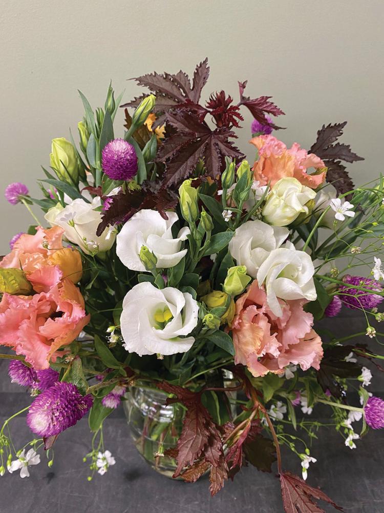 Lisianthus, Solo Pure White Packet