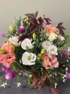 Lisianthus, Solo Pure White Packet
