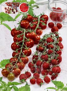 Tomato, Deep Red Desire Raisin Packet