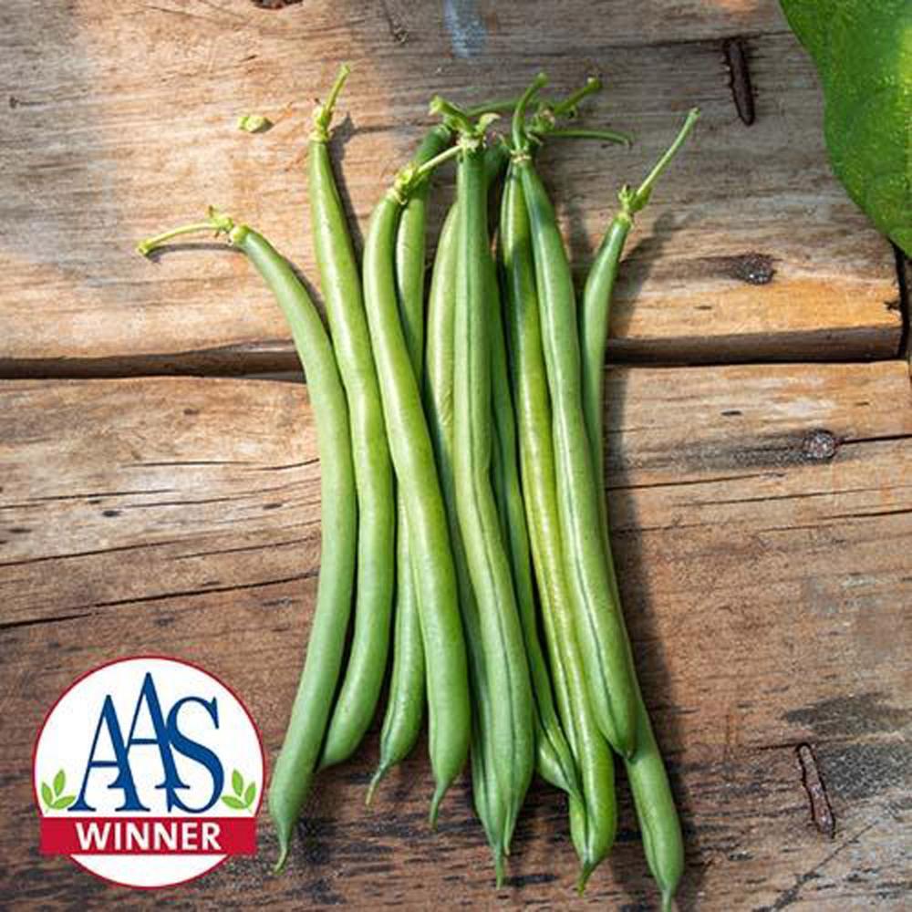 Pole Bean, Seychelles Organic Packet