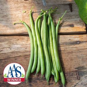 Pole Bean, Seychelles Organic Packet