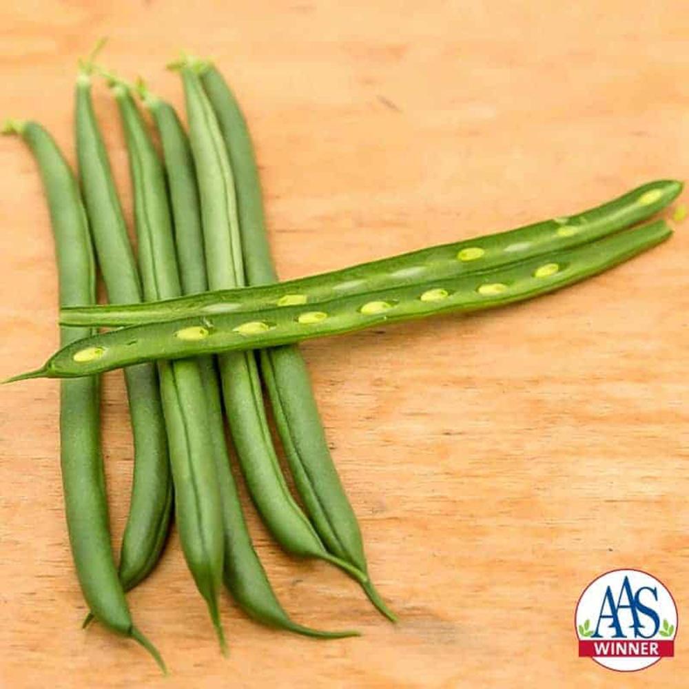 Pole Bean, Seychelles Organic Packet