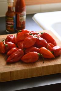 Pepper, Primero Red Packet