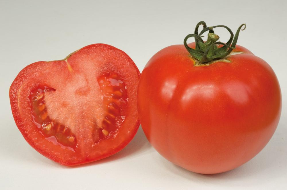 Tomatoes, Garance Hybrid Packet