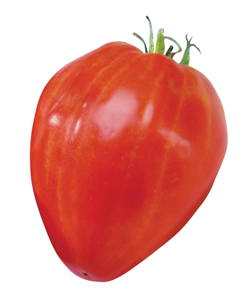 Tomato, Cuor Di Bue Packet