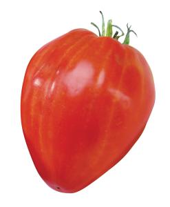 Tomato, Cuor Di Bue Packet