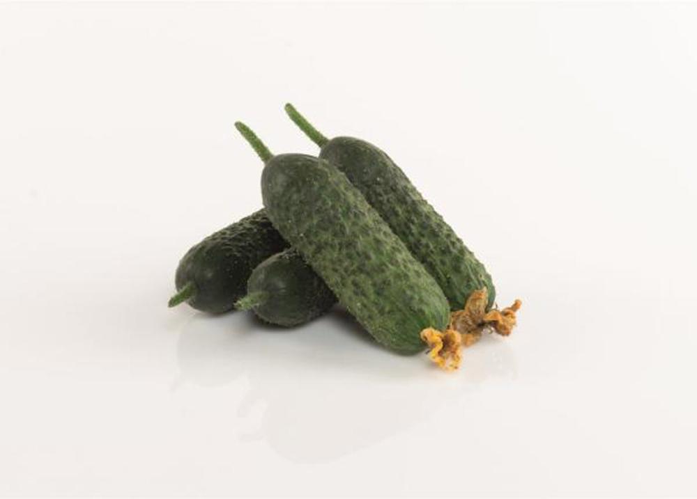Pickle, Avenger Hybrid Packet