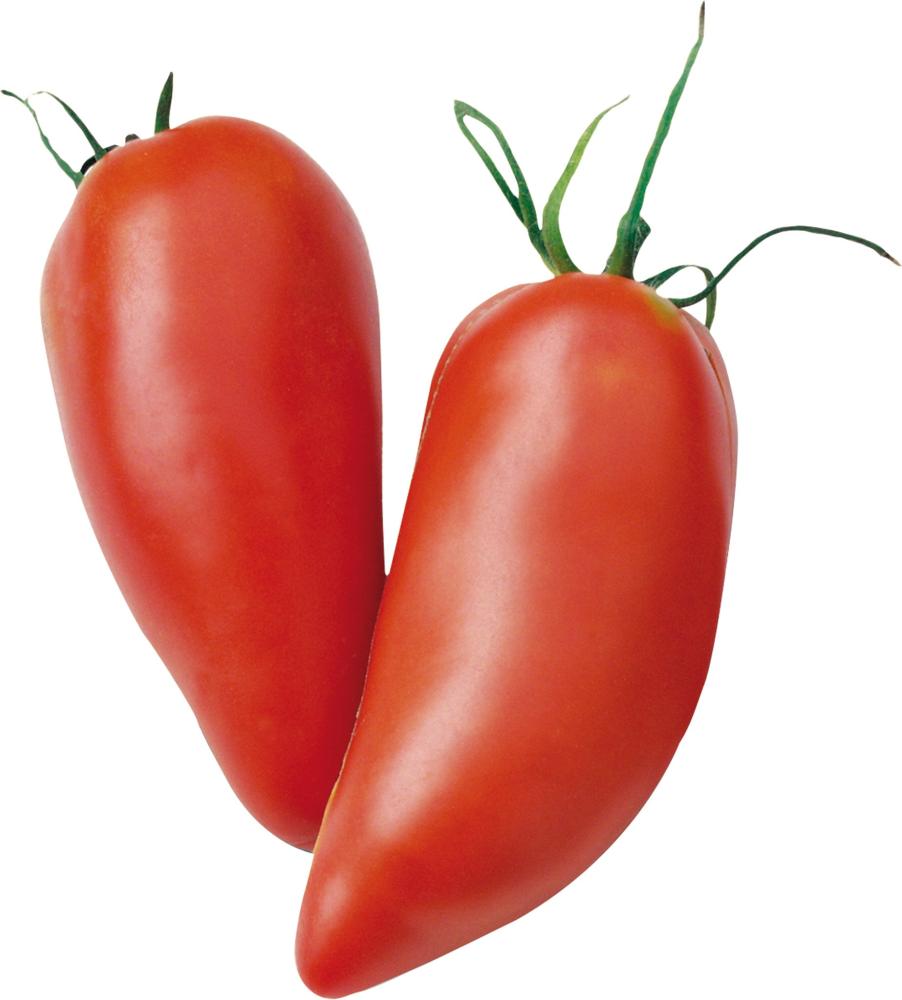 Tomato, Andine Cornue Packet