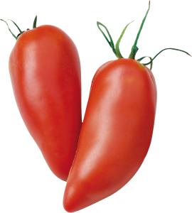 Tomato, Andine Cornue Packet