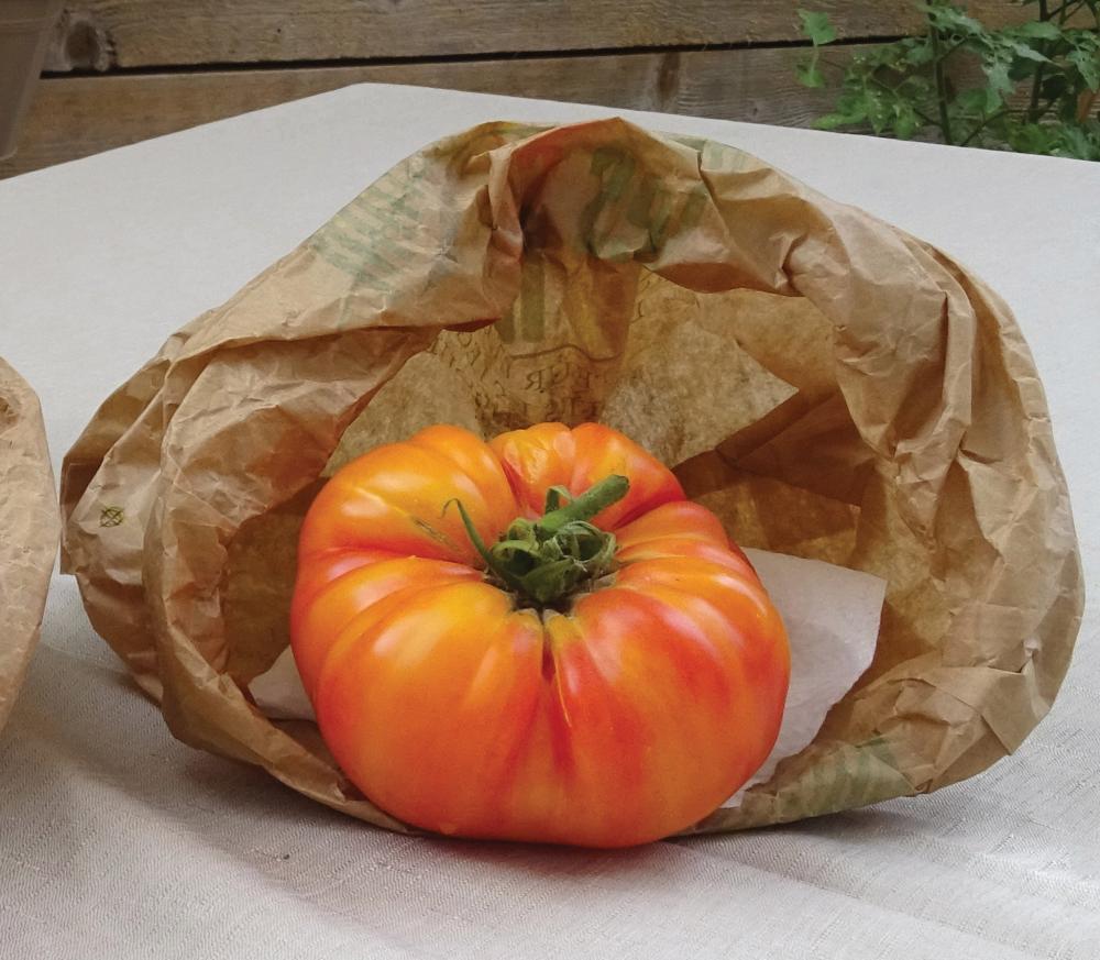 Tomato, Ananas Packet