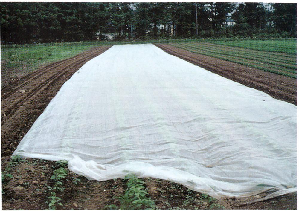 Row Covers, Agribon Ag-19: 500ft 500 feet