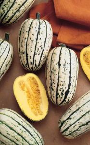 Winter Squash, Bush Delicata Packet