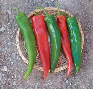 Peppers, Biggie Chili Hybrid Packet